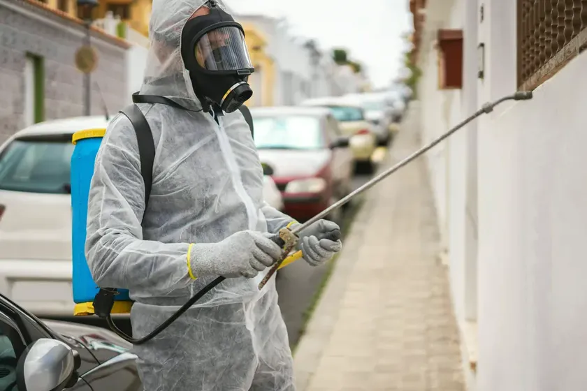 Tratamiento de hormigas en Castelldefels — CostaPest